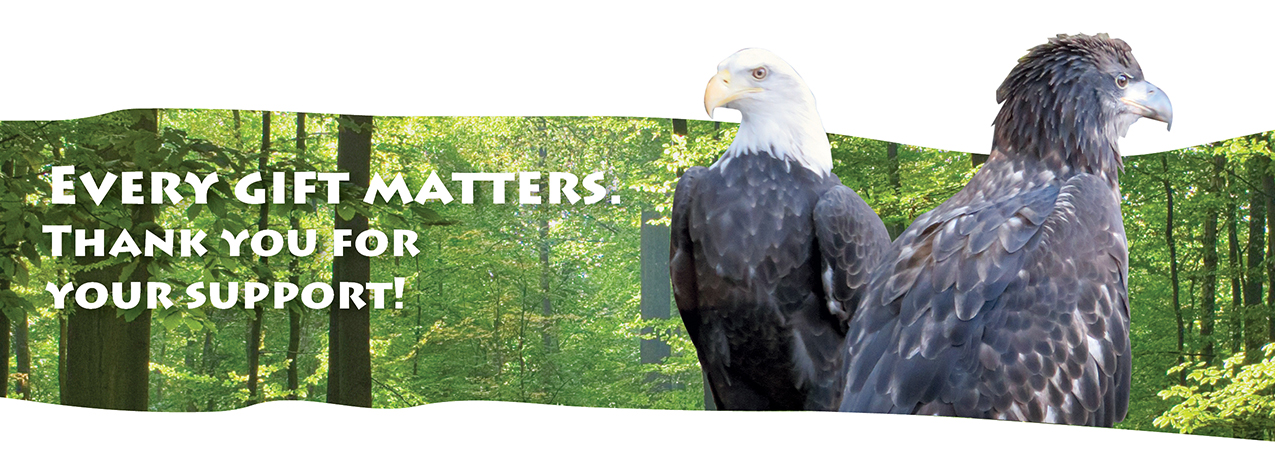Fall 2025 Annual Appeal for the Squam Lakes Natural Science Center. Every Gift Matters. Thank you for your support.